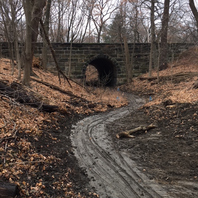 Phase III of the Fairmount Park Trolley Trail is under way! Thumbnail