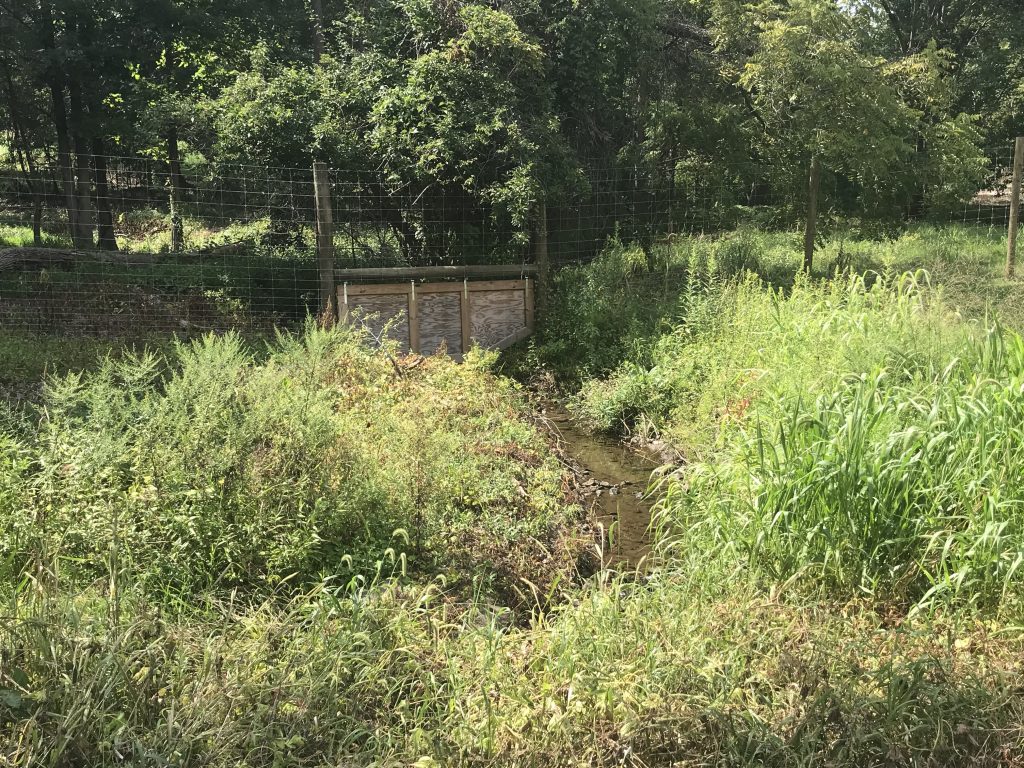 Live stakes take root along streams at Fairmount Park Horticulture Center Thumbnail