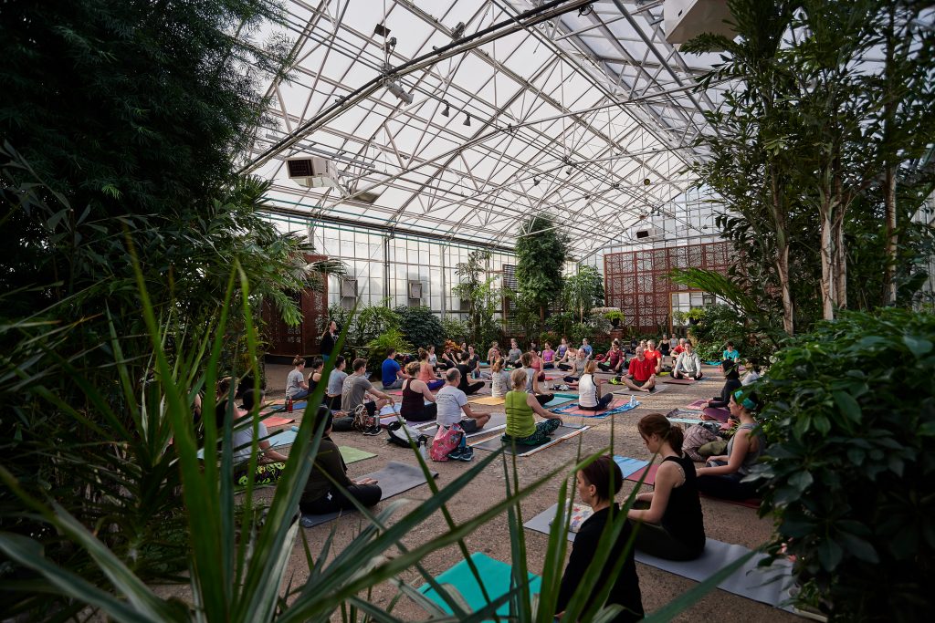 Greenhouse yoga at the Horticulture Center Thumbnail