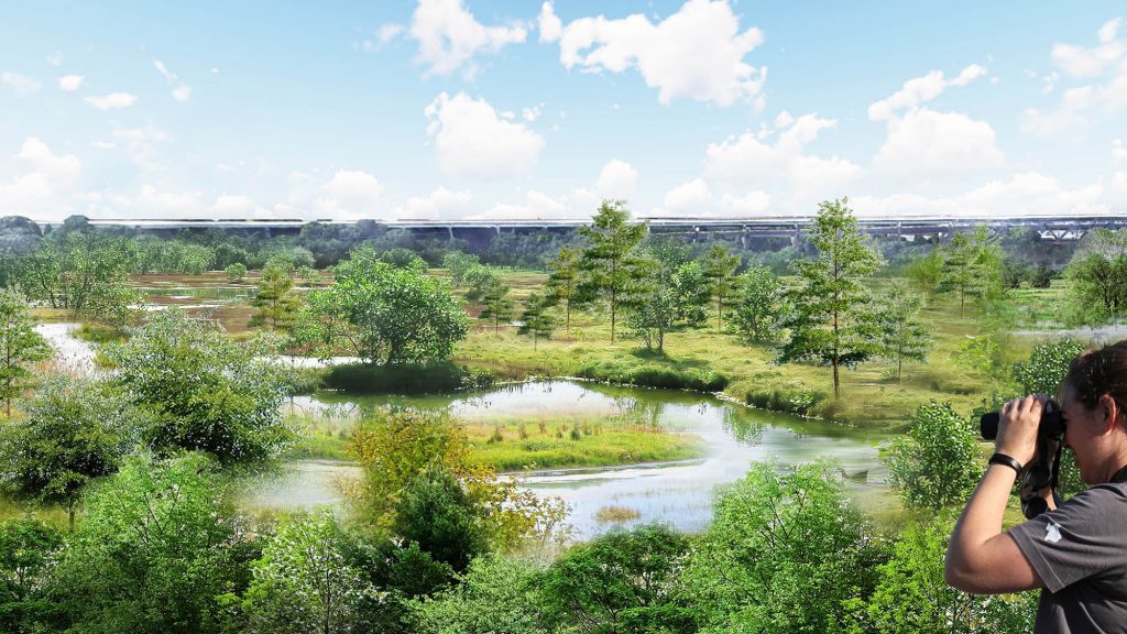 A 33 acre native wetland is coming to FDR Park! Thumbnail