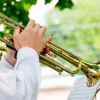 Brass in the Grass: Free Concert at FDR Park
