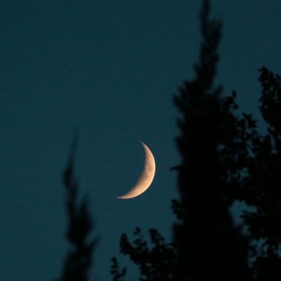 CELEBRATE SOLSTICE: Night Hike and Stargazing Part...