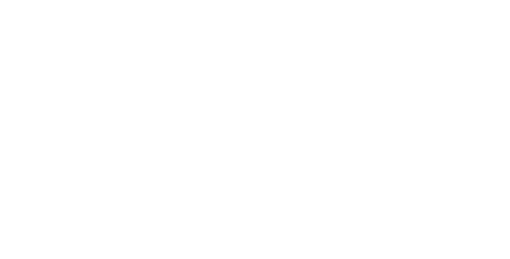 FDR Park Plan
