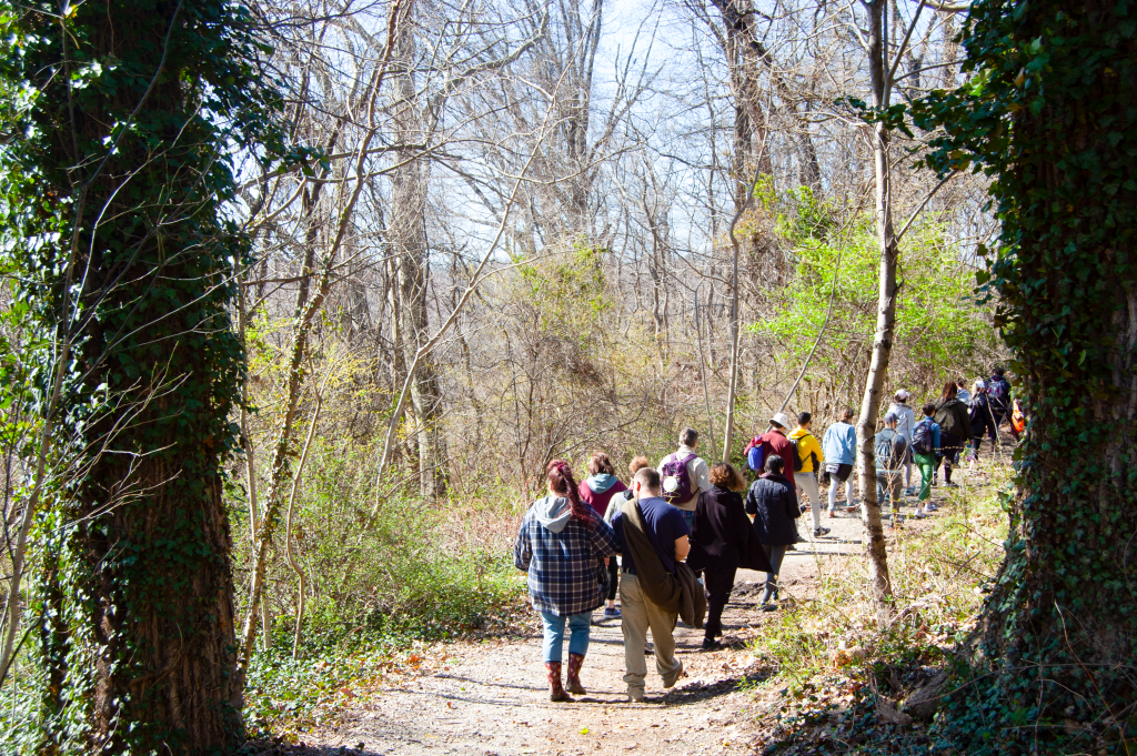 Ecotherapy in the Park: Guided Hike & Meditation with Krista Nelson Thumbnail