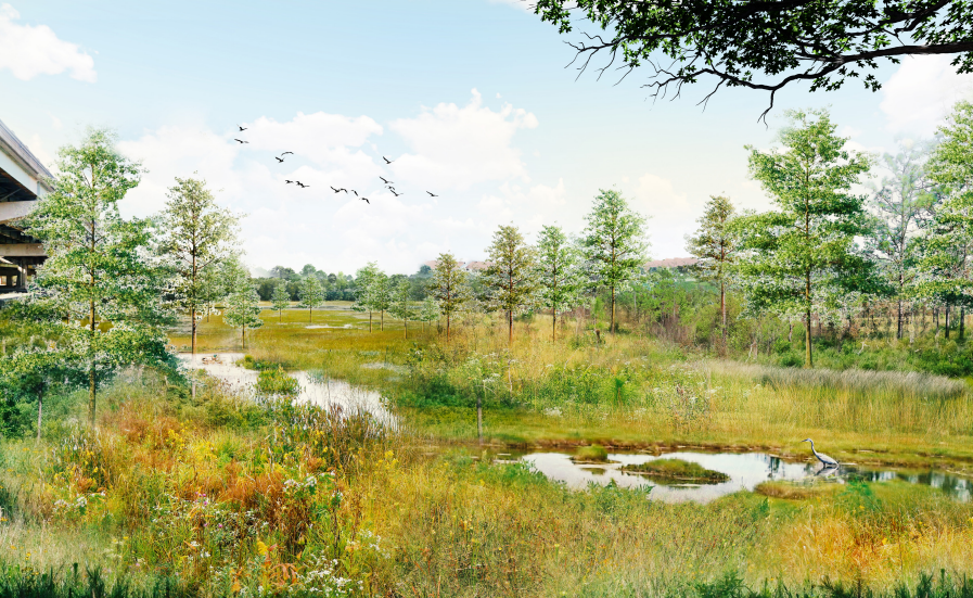Creating an urban wetland from a former dump site in FDR Park Thumbnail