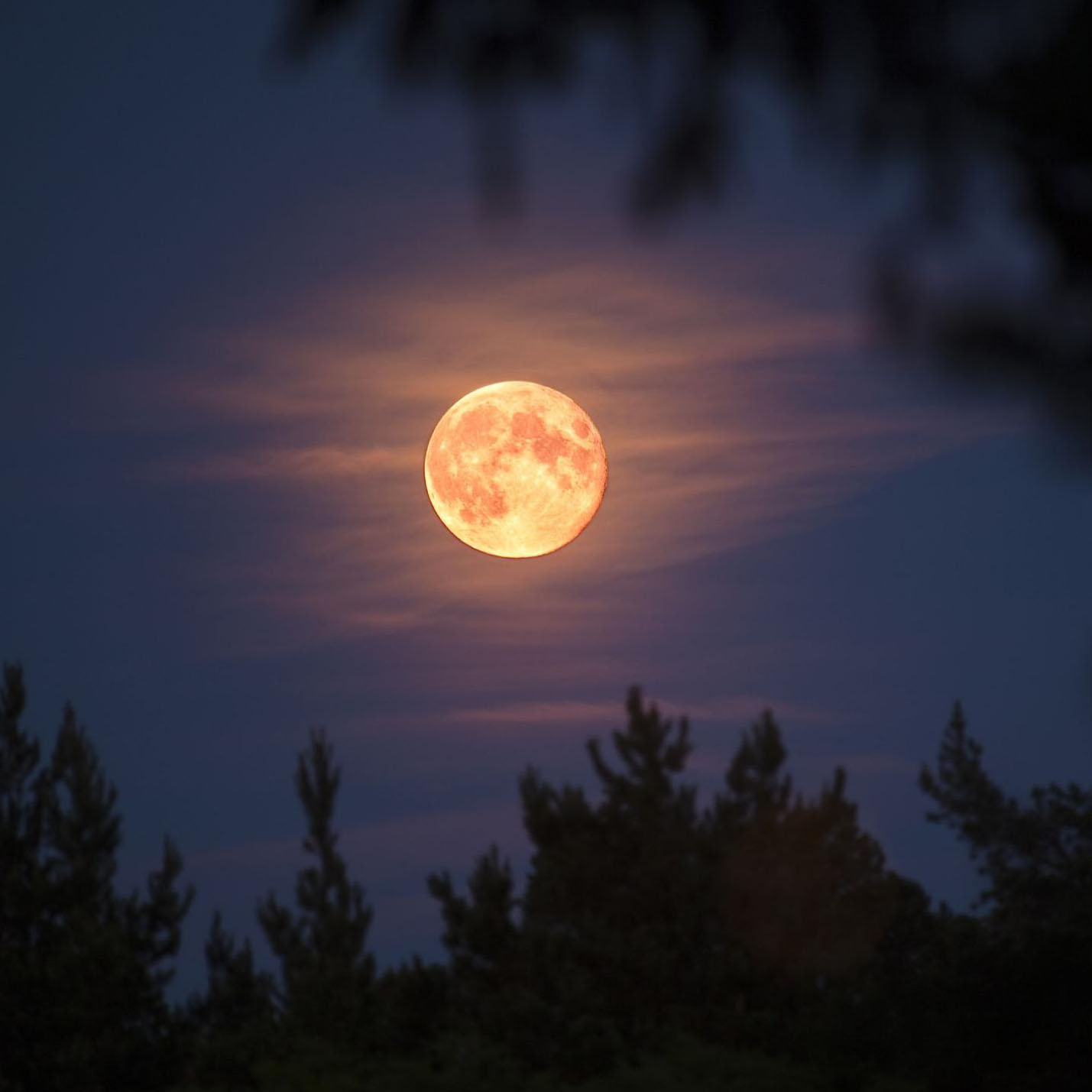 Park After Dark: Moonwalk & Stargazing Party