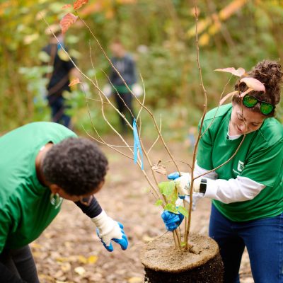 Community Planting at Cobbs Creek Park