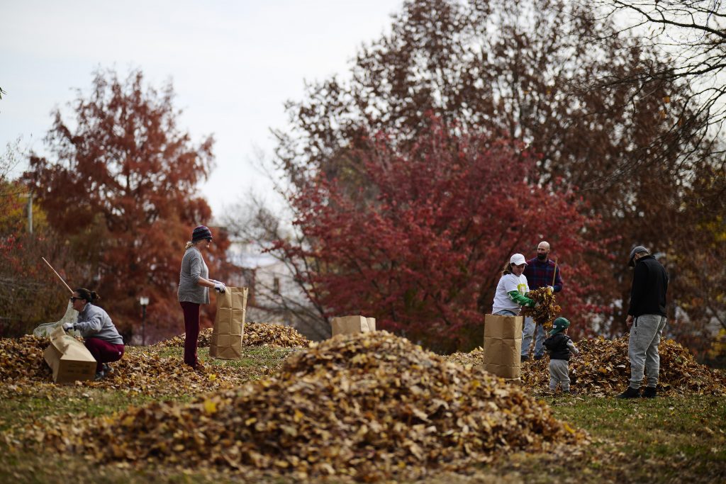 Highlights from Love Your Park Fall Weekend Thumbnail