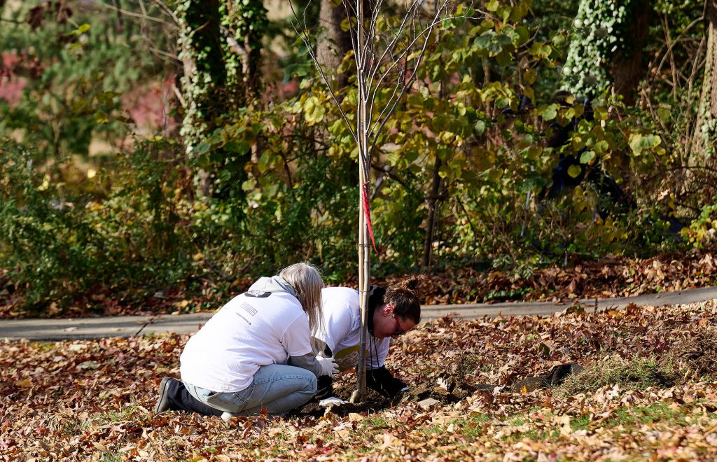 25 in ‘25: Growing Critical Programs Thumbnail