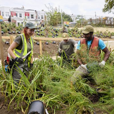 Cobbs Creek Community Workday