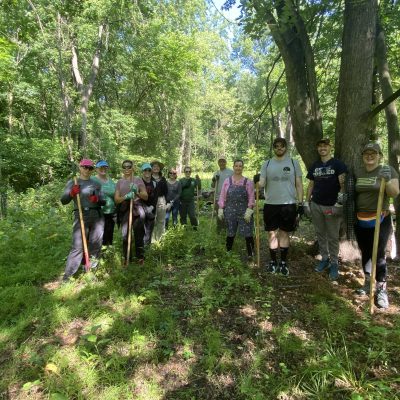 Belmont Wetland Community Planting