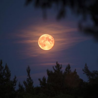 Park after Dark: Moonwalk + Stargazing