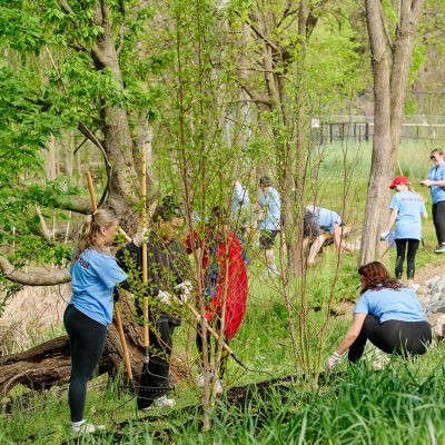 Arbor Day Community Workday at FDR Park