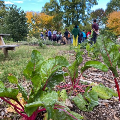 Second Saturday Guided Hike: Birding and Fair Amount Food Forest Tour