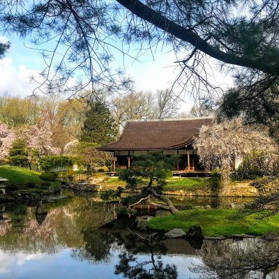 We Walk, We Tour with Shofuso