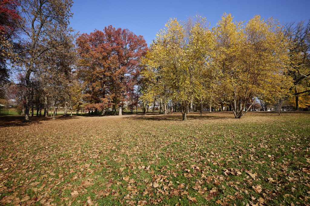 Philadelphia’s Accredited Arboretums—and the Park Friends Behind Them Thumbnail