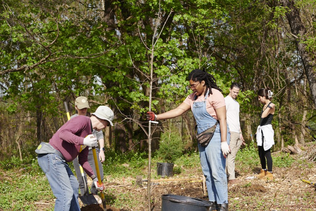Rooted in collaboration: New TD grant supports park trees and community partnerships Thumbnail