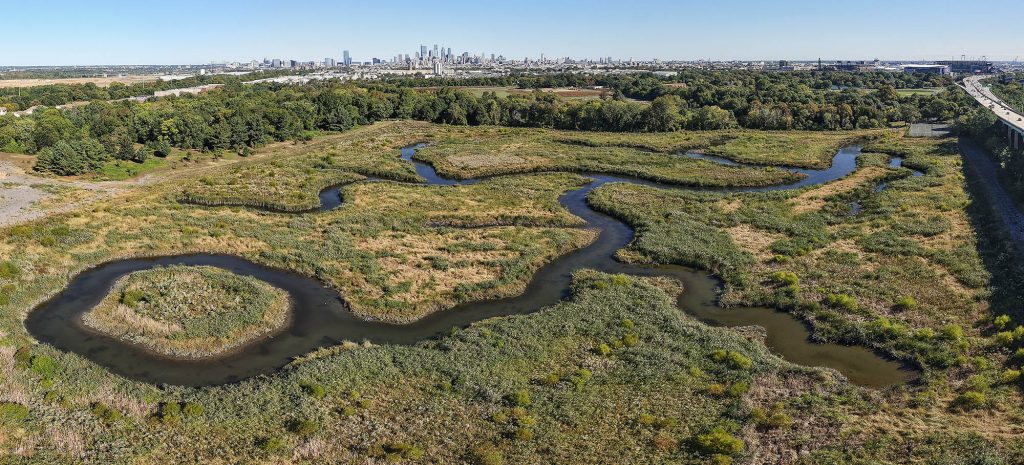 New Tidal Wetland in FDR Park Wins Governor’s Award Thumbnail