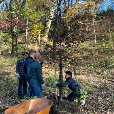 Cobbs Creek Community Workday