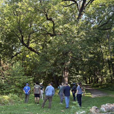 Second Saturday: Cobbs Creek Guided Nature Hike
